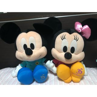 ディズニー(Disney)のジャングルカーニバル  35周年ミッキー＆ミニーぬいぐるみ(ぬいぐるみ)