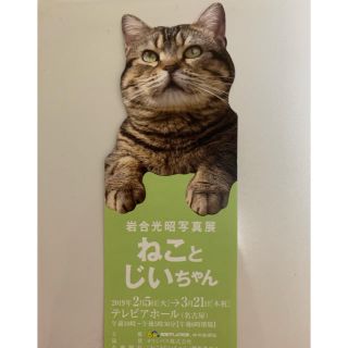 ねことじいちゃん 写真展(その他)