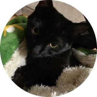 破壊王銀ちゃん様専用(その他)