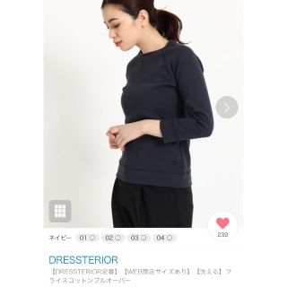 ドレステリア(DRESSTERIOR)の新品 ドレステリア フライスコットンプルオーバー(パーカー)