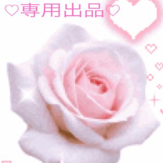 素敵な雑貨＊販売中様★専用(その他)