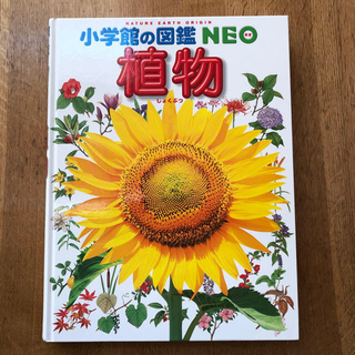 ショウガクカン(小学館)の小学館の図鑑 NEO 植物(語学/参考書)