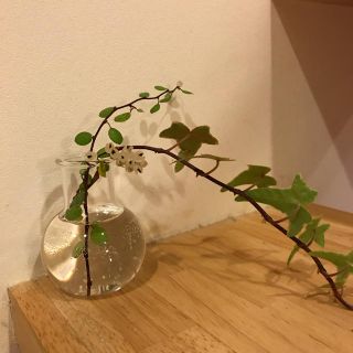 ムジルシリョウヒン(MUJI (無印良品))の☆タグ付き新品未使用/無印良品ガラスホルダー/花瓶/一輪挿し/インテリア☆専用(花瓶)