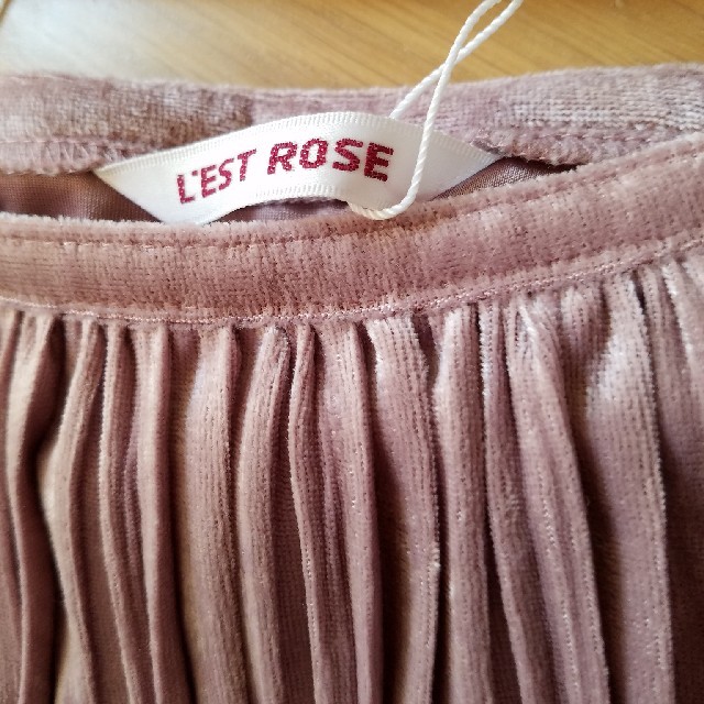 L'EST ROSE(レストローズ)のレスト❤ベルベットみたいな刺繍スカート レディースのスカート(ひざ丈スカート)の商品写真