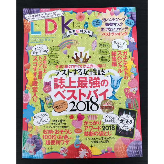 LDK19年1月号 エンタメ/ホビーの本(住まい/暮らし/子育て)の商品写真