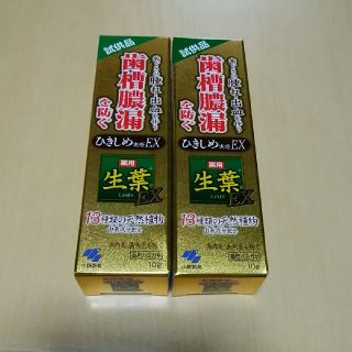 コバヤシセイヤク(小林製薬)の薬用 生葉EX ひきしめ実感EX 2本セット 薬用ハミガキ(歯磨き粉)