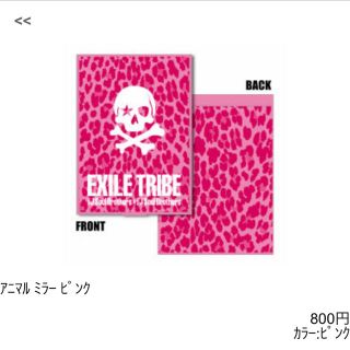 エグザイル トライブ(EXILE TRIBE)の二代目 三代目J Soul Brothers ミラー ヒョウ柄 ツアーグッズ(ミュージシャン)