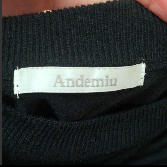 Andemiu(アンデミュウ)のレディース　ニット レディースのトップス(ニット/セーター)の商品写真