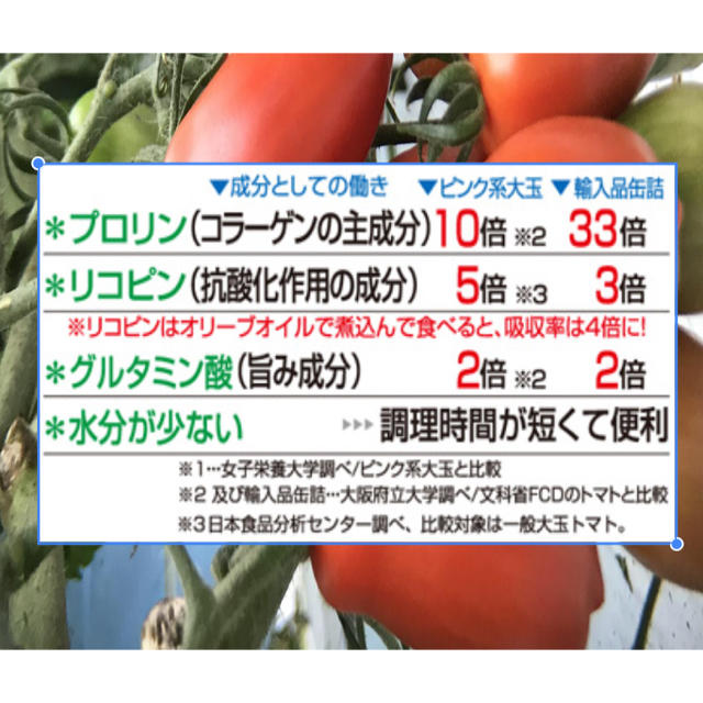 Pomodoro(ポモドーロ)  1kg 食品/飲料/酒の食品(野菜)の商品写真