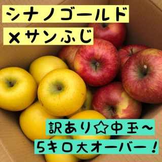 訳あり＊シナノゴールド ×サンふじりんご 中玉〜5キロ大オーバー(フルーツ)