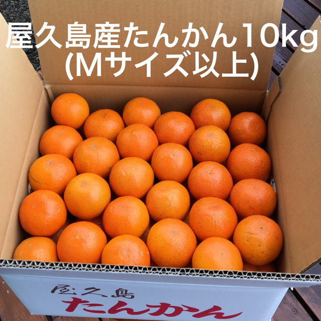 [送料込み]屋久島産たんかん・タンカン10kg(Ｍサイズ以上)、農薬不使用 フルーツ