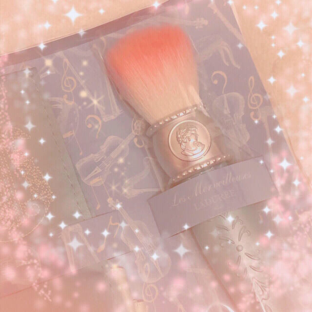 Les Merveilleuses LADUREE(レメルヴェイユーズラデュレ)の Les Merveilleuses LADURE♡限定♡チークブラッシュ♡ コスメ/美容のコスメ/美容 その他(その他)の商品写真