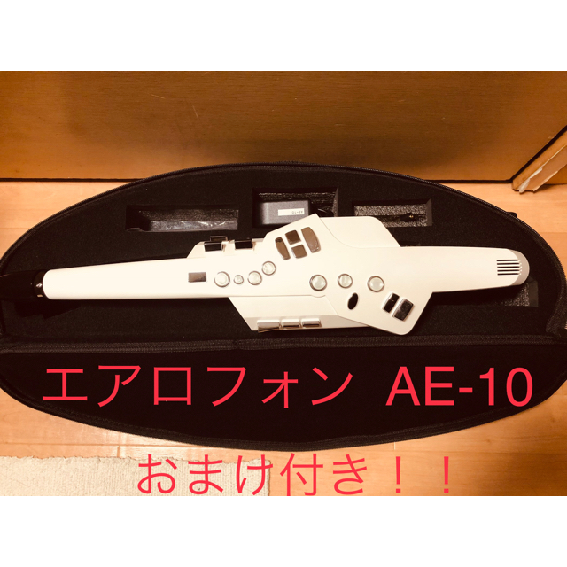 品質が Roland - Roland エアロフォン AE-10 (ナベール) サックス