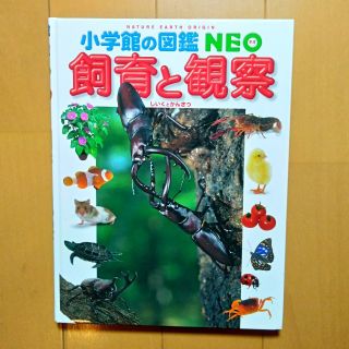 ショウガクカン(小学館)の小学館の図鑑NEO　飼育と観察(語学/参考書)