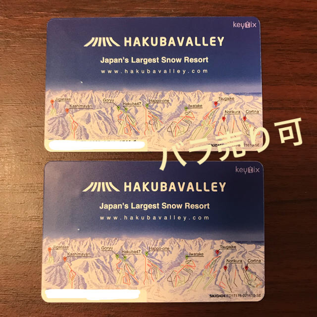 【購入者決定しました】栂池高原スキー場 リフト一日券(2枚)施設利用券
