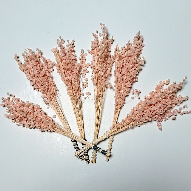 【お値下げ❗】プリーザドライのライトピンク小分け ハンドメイドのフラワー/ガーデン(プリザーブドフラワー)の商品写真