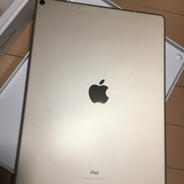 iPad - 【iPad Pro10.5 国内版SIMフリーモデル 512GB】