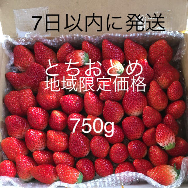 とちおとめ 750g 食品/飲料/酒の食品(フルーツ)の商品写真