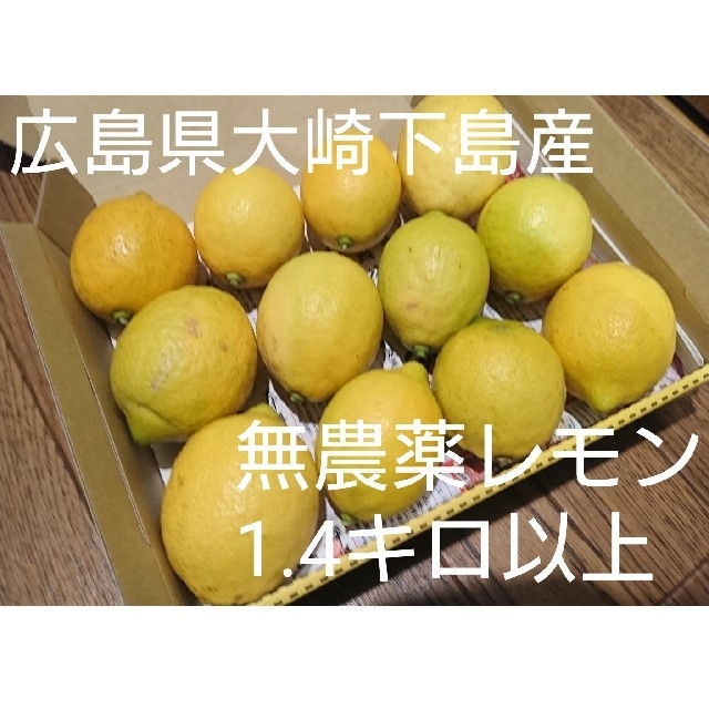 広島県大崎下島産 無農薬レモン 1.4キロ以上 食品/飲料/酒の食品(フルーツ)の商品写真