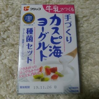 箱無し　カスピ海ヨーグルト(その他)
