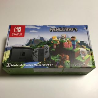 NINTENDO SWITCH MINECRAFTセット