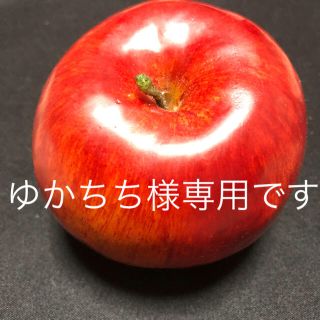 ゆかちち様専用です 他の方はご入札をお控え願います。(リング(指輪))