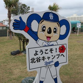 チュウニチドラゴンズ(中日ドラゴンズ)の中日ドラゴンズ 大島選手 沖縄 キャンプ限定 クッション 新品(応援グッズ)