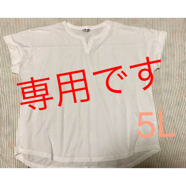 大きいサイズ Tシャツ レディース スキッパー Tシャツ 5L ホワイト レディースのトップス(Tシャツ(半袖/袖なし))の商品写真