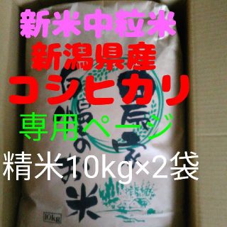 sweetorange様専用(米/穀物)