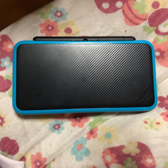 ニンテンドー2DS LL