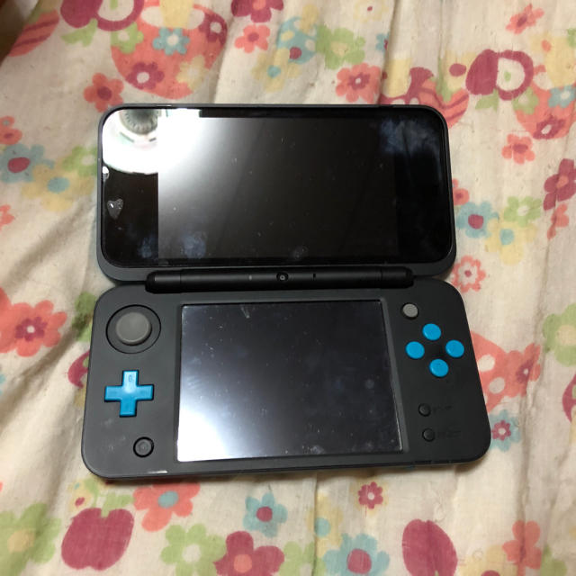 ニンテンドー2DS LL