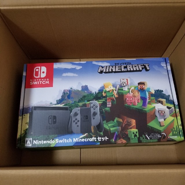 Nintendo Switch Minecraft (マインクラフト) セット