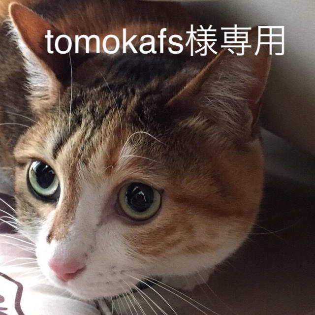 tomokafs様専用 ハンドメイドのアクセサリー(アンクレット)の商品写真