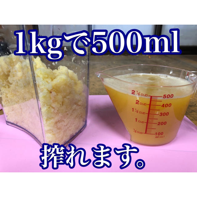 彩りフルーツにんじん。規格外、訳あり5kg。無農薬野菜。お試し5色付き 食品/飲料/酒の食品(野菜)の商品写真