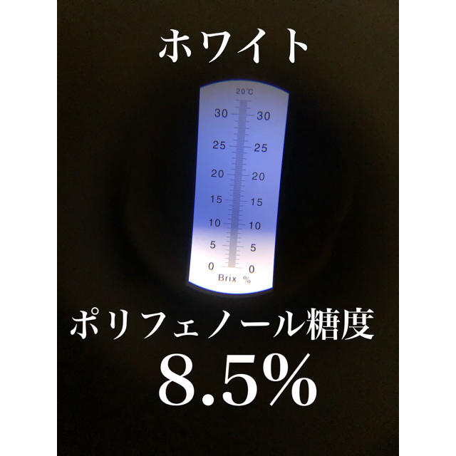 彩りフルーツにんじん。規格外、訳あり5kg。無農薬野菜。お試し5色付き 食品/飲料/酒の食品(野菜)の商品写真