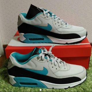 ナイキ(NIKE)のレアカラー　新品　NIKE AIRMAX 90 ESSENTIAL　28.5cm(スニーカー)