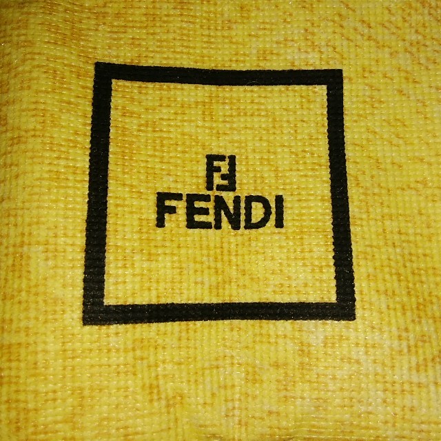 FENDI(フェンディ)のFENDI 入れ物 レディースのファッション小物(その他)の商品写真