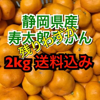 寿太郎 みかん (じゅたろう) 全国送料込み(フルーツ)