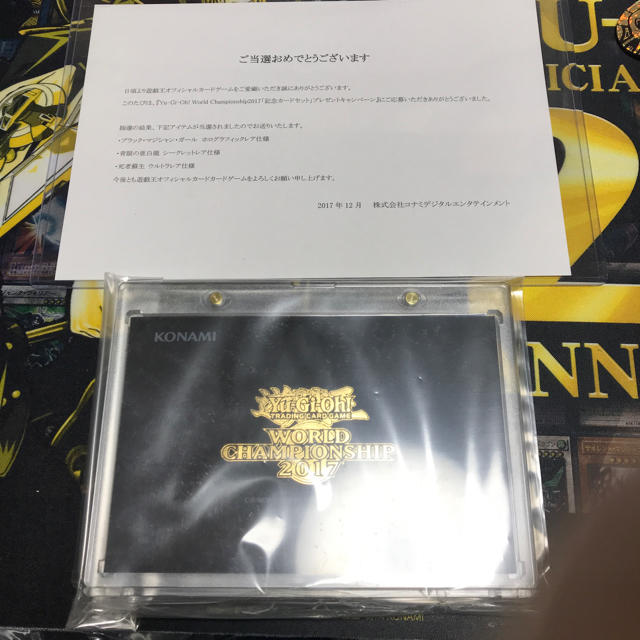 wcs2017 封筒　通知書　セット！