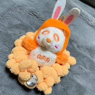 トリプルエー(AAA)のAAA え〜パンダ うさぎ シュシュ オレンジ 橙 西島隆弘 セット(ミュージシャン)