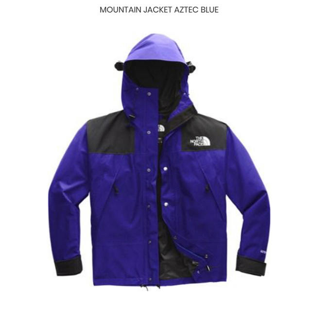 NORTH FACE 1990 MOUNTAIN JACKET GTX ノース