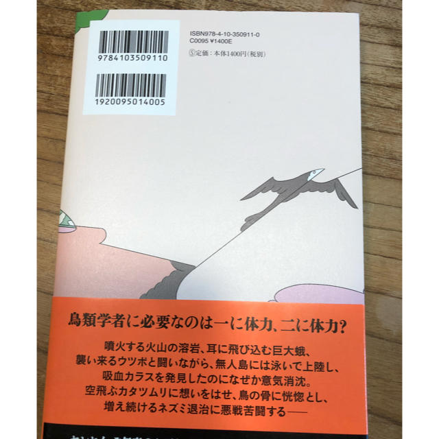 鳥類学者だからって、鳥が好きだと思うなよ。  川上和人 エンタメ/ホビーの本(ノンフィクション/教養)の商品写真