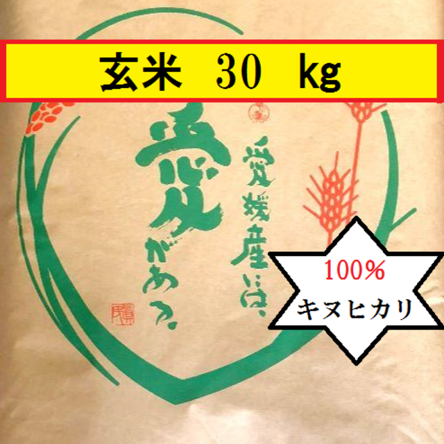 🍀お米　H30　愛媛県産キヌヒカリ　玄米　30㎏ 食品/飲料/酒の食品(米/穀物)の商品写真