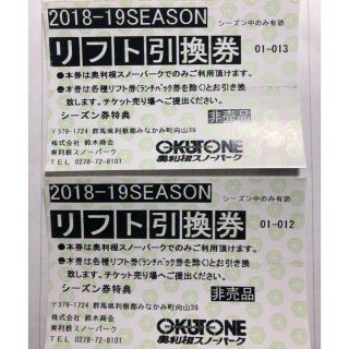 奥利根スノーパーク リフト1日券 二枚(ウィンタースポーツ)