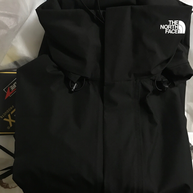 THE NORTH FACE HYKE GTX Military Coat