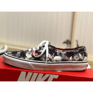 ヴァンズ(VANS)のvans authentic ASPCAコラボ！(スニーカー)