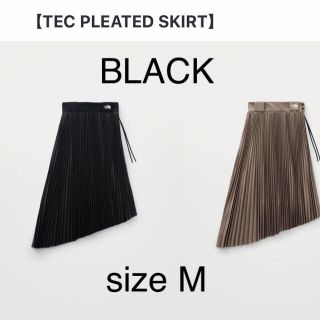 ハイク(HYKE)のthe north face hyke tec pleated skirt M(ロングスカート)