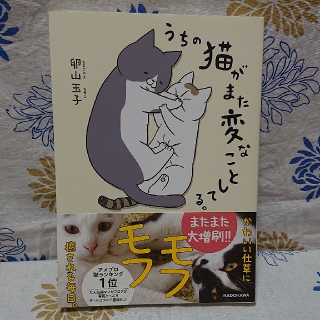 うちの猫がまた変なことしてる。   1巻  卵山玉子 KADOKAWA   エンタメ/ホビーの漫画(その他)の商品写真