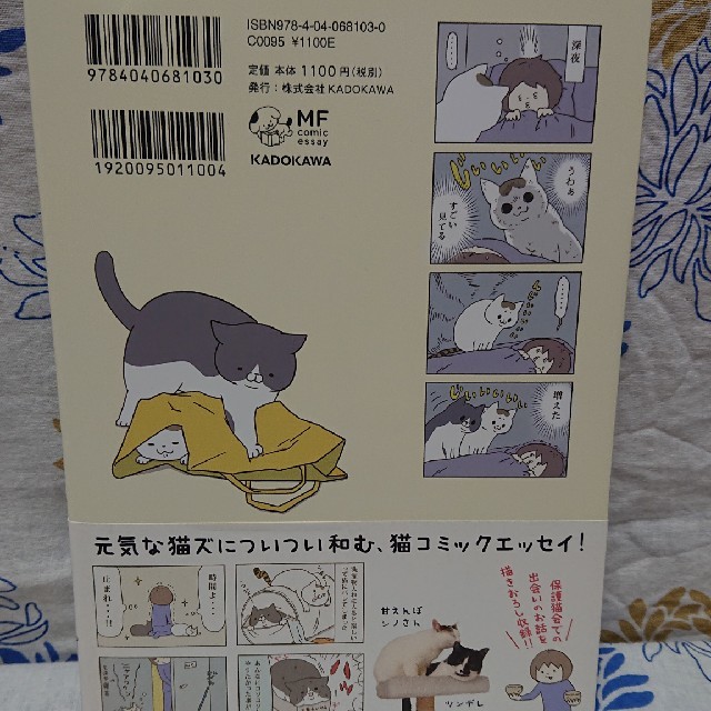 うちの猫がまた変なことしてる。   1巻  卵山玉子 KADOKAWA   エンタメ/ホビーの漫画(その他)の商品写真