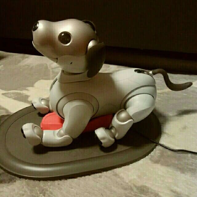 国内即発送】 SONY - aibo アイボ ERS-1000 SONY その他